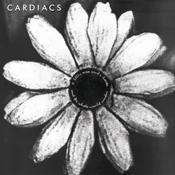 Cardiacs - A Little Man and a House and the Whole World Window