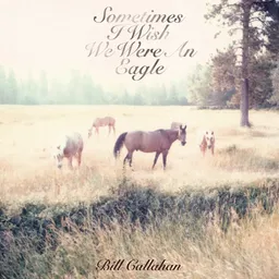 Bill Callahan - Sometimes I Wish We Were An Eagle”
